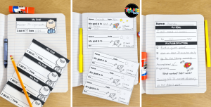Goal-Trackers: A System for Helping Students Set Goals