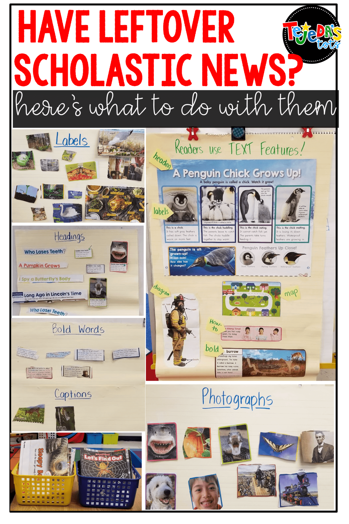 What To Do With Extra Classroom Magazines