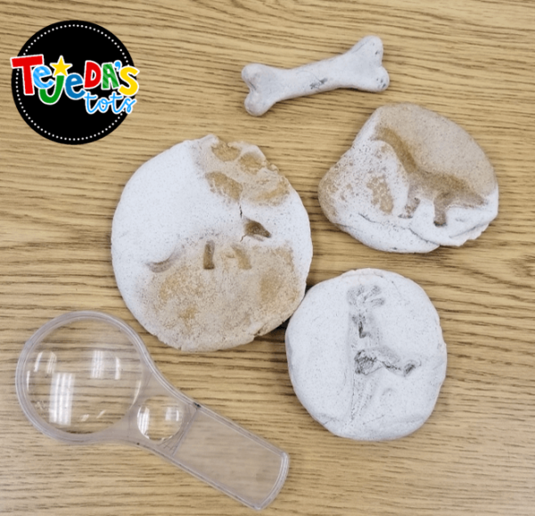 Dinosaur Unit Ideas for Kindergarten and First Grade - Tejeda's Tots