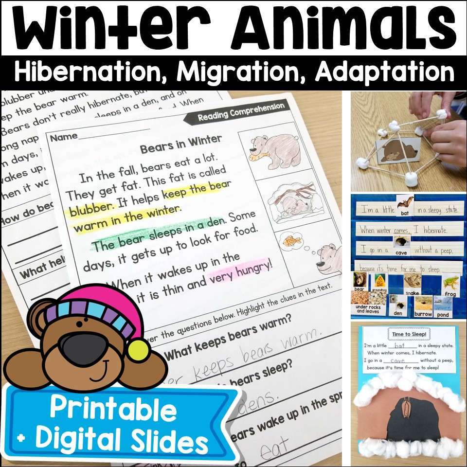 Animals in Winter: Hibernation Activities and Adaptation - Image 1
