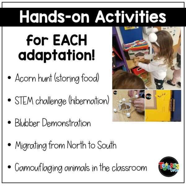 Animals in Winter: Hibernation Activities and Adaptation