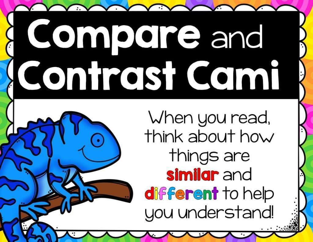 Compare and Contrast Cami Chameleon
