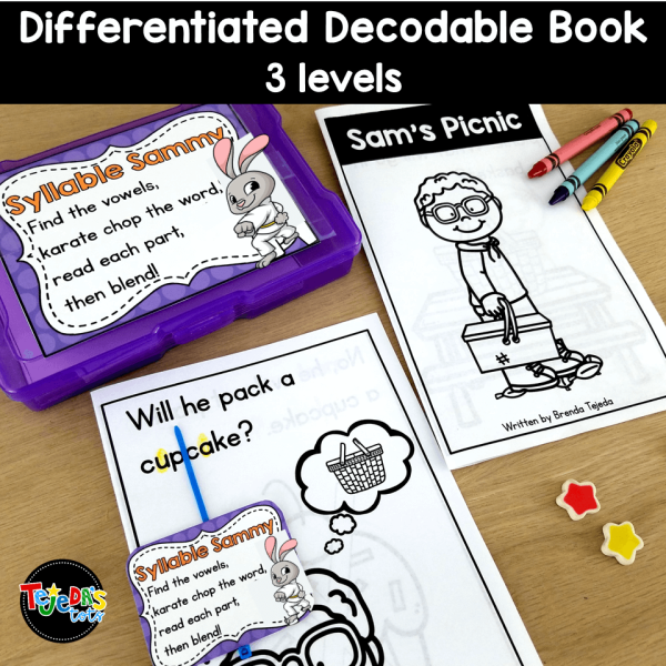 Syllable Division Reading Strategy: Syllable Sammy