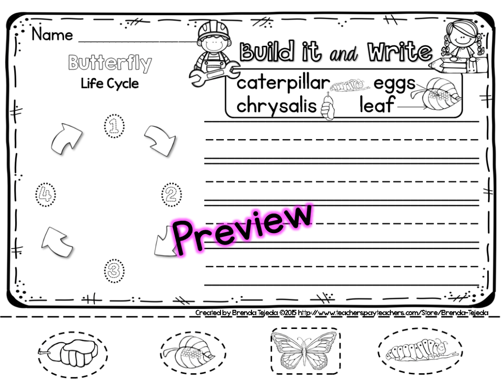 Spring: Build it & Write!