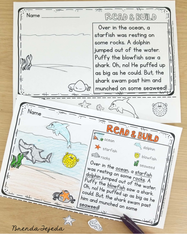 Reading Comprehension Cut & Paste Passages: Summer