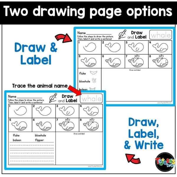 Ocean Animals Directed Drawing Informational End of Year Writing Unit 1st Grade