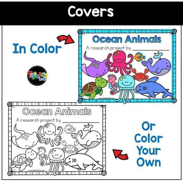 Ocean Animals Directed Drawing Informational End of Year Writing Unit 1st Grade