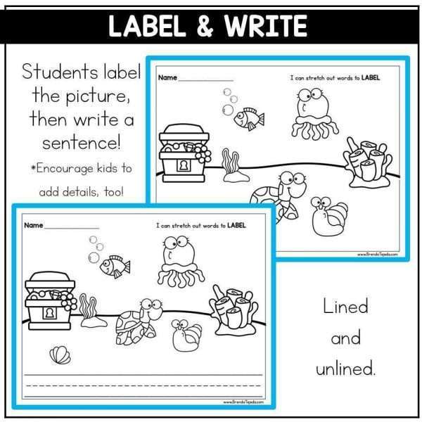 Summer Themed End of Year Activities Kindergarten 1st Grade CVC Reading Passages