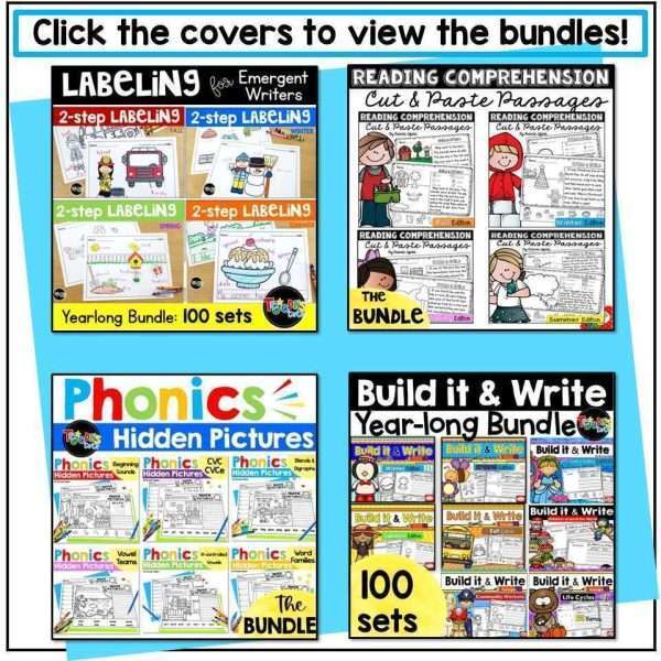 Summer Themed End of Year Activities Kindergarten 1st Grade CVC Reading Passages