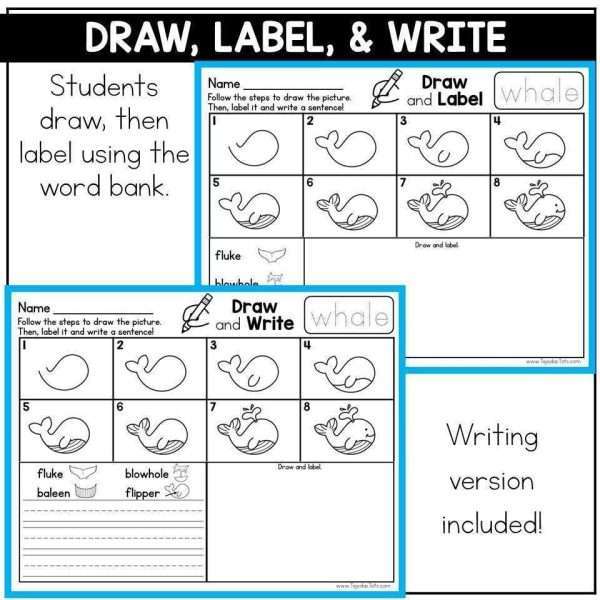 Summer Themed End of Year Activities Kindergarten 1st Grade CVC Reading Passages