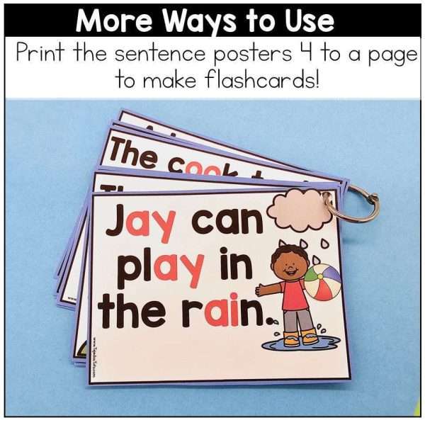 Vowel Teams Decodable Passages and Reading Lessons Science of Reading 1st Grade