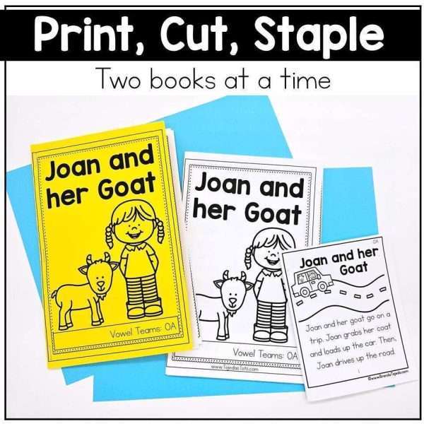 Decodable Texts | Vowel Teams | Science of Reading Phonics Books