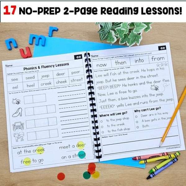 Phonics Intervention Vowel Teams Decodable Passages Small Group Reading