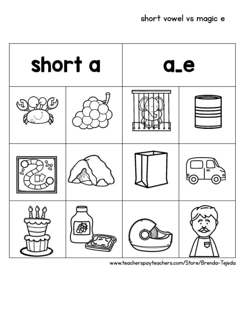 Word Work Sorts: Short and Long Vowels