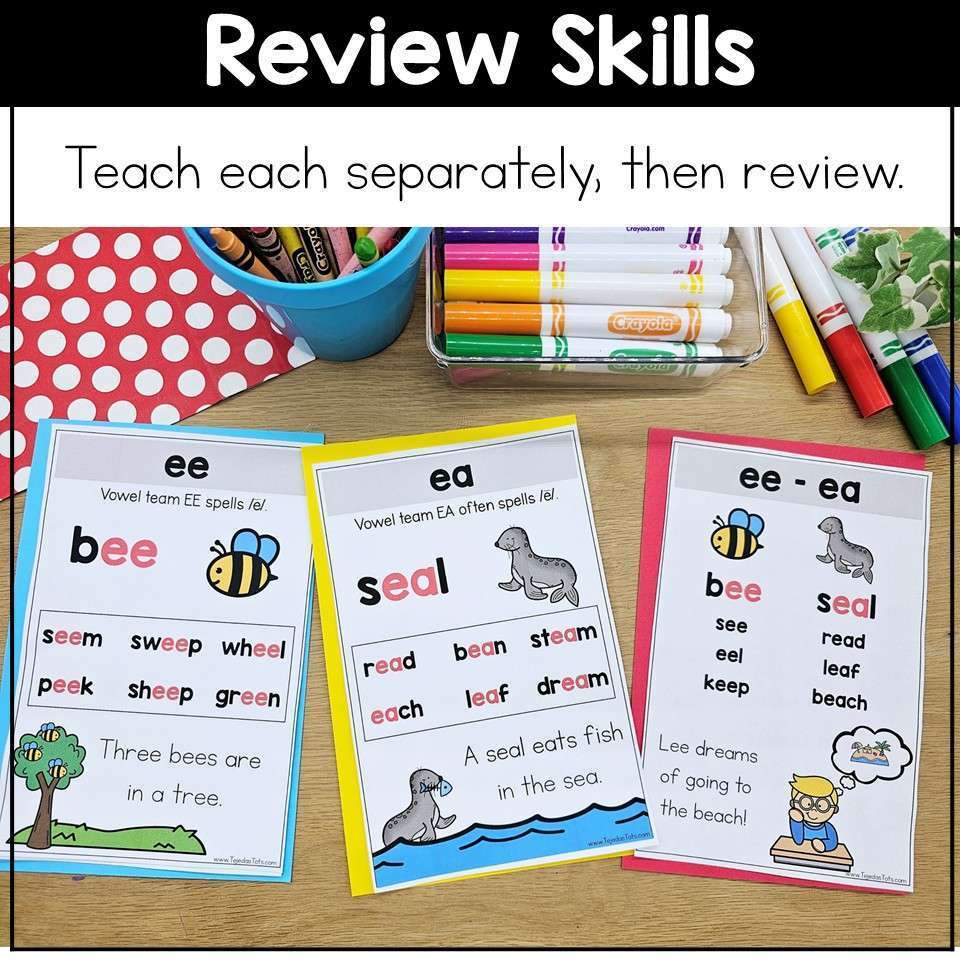 Phonics Anchor Charts Phonics Rules Posters Interactive Notebook Spelling Review - Image 6