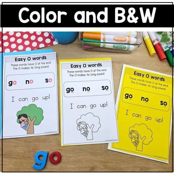 Phonics Anchor Charts Phonics Rules Posters Interactive Notebook Spelling Review