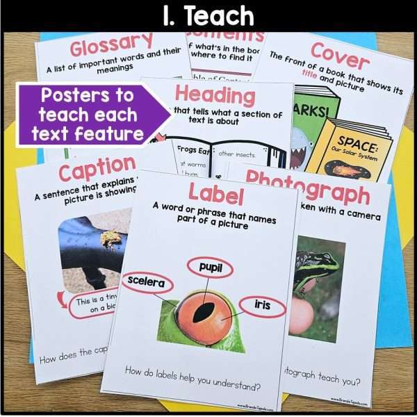 All About Rabbits Spring Read Aloud Activities Comprehension Writing Information