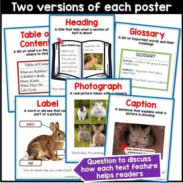 All About Rabbits Spring Read Aloud Activities Comprehension Writing Information