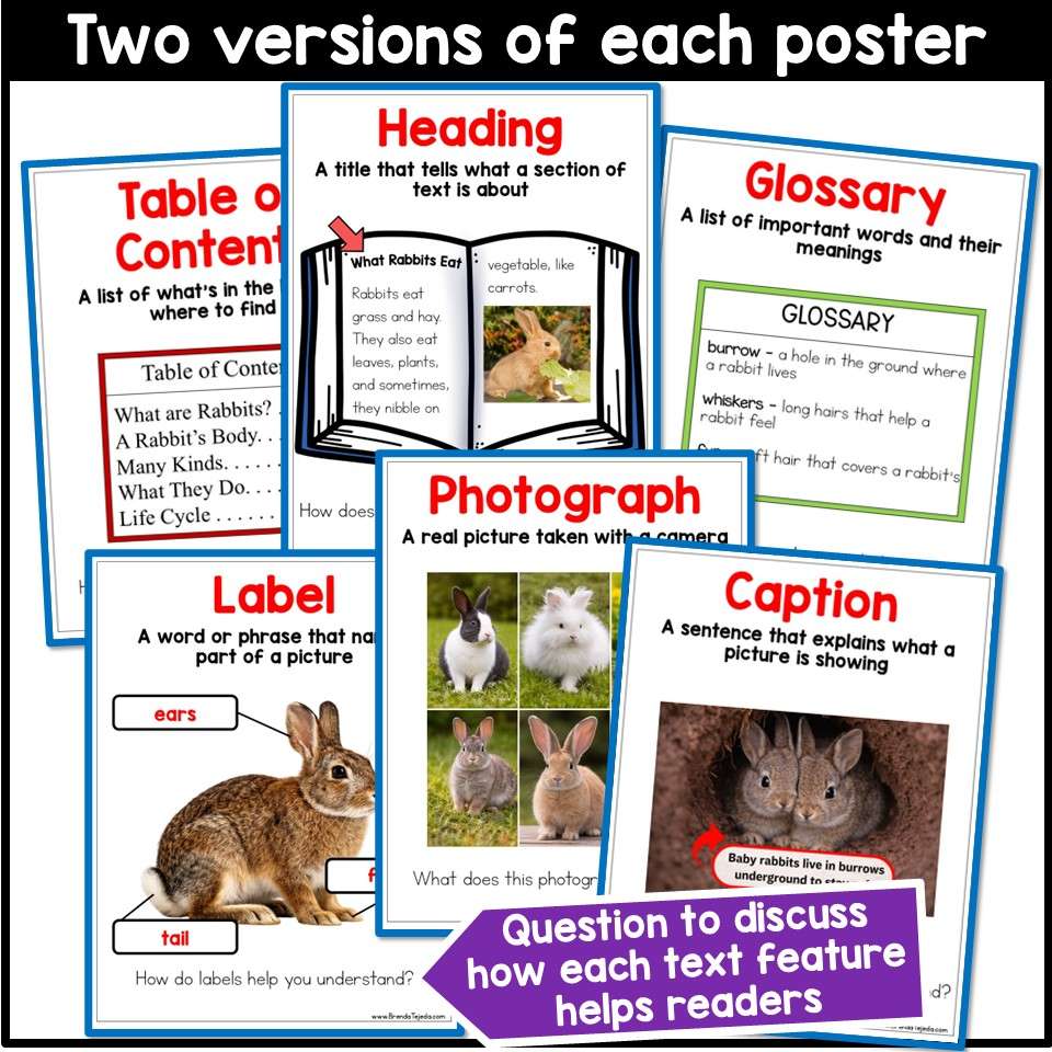 All About Rabbits Spring Read Aloud Activities Comprehension Writing Information - Image 4