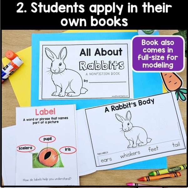 All About Rabbits Spring Read Aloud Activities Comprehension Writing Information