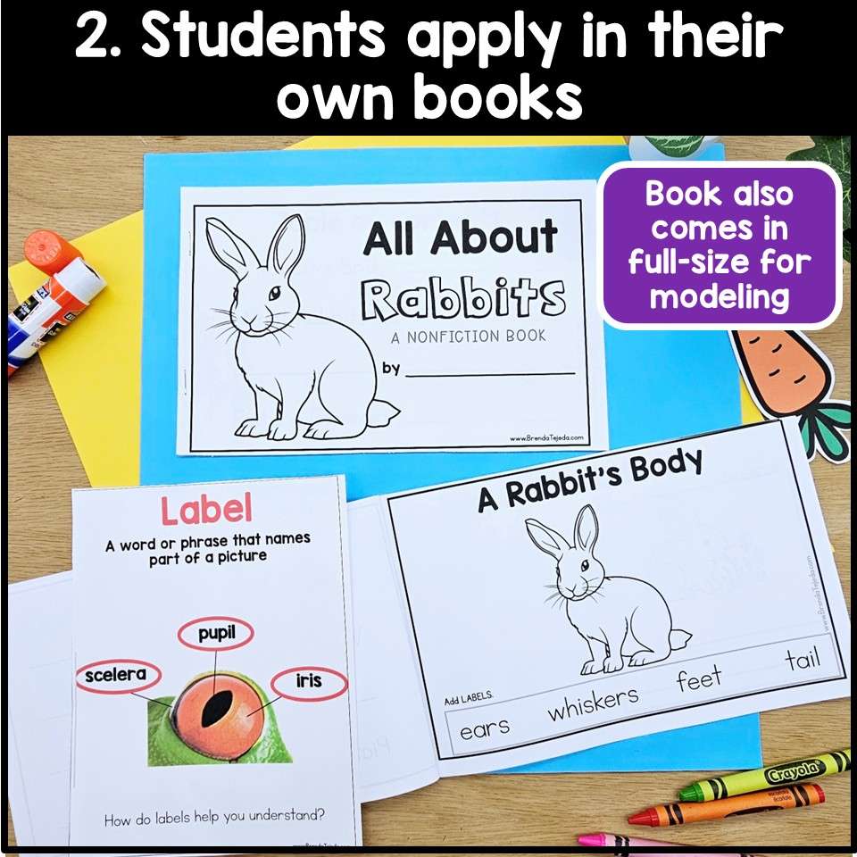All About Rabbits Spring Read Aloud Activities Comprehension Writing Information - Image 5