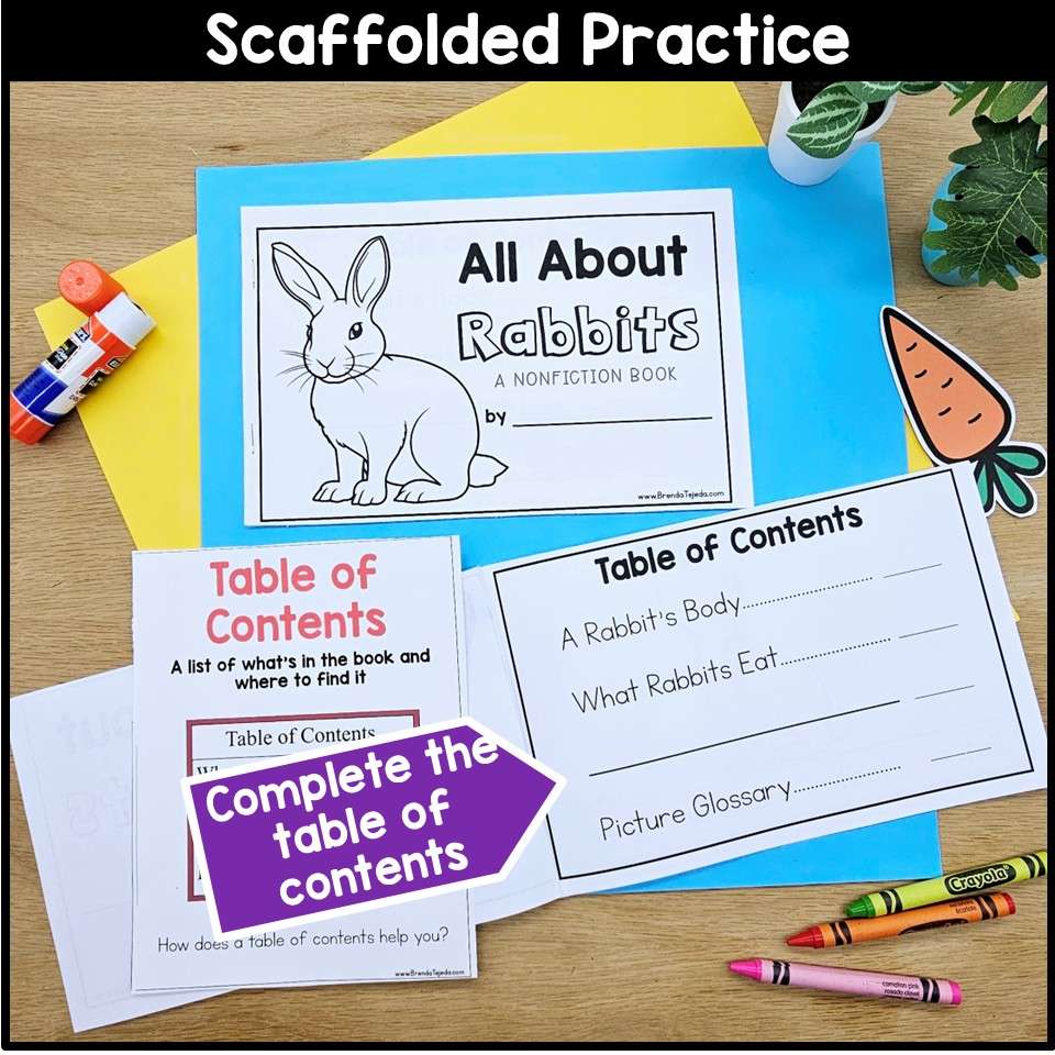All About Rabbits Spring Read Aloud Activities Comprehension Writing Information - Image 8