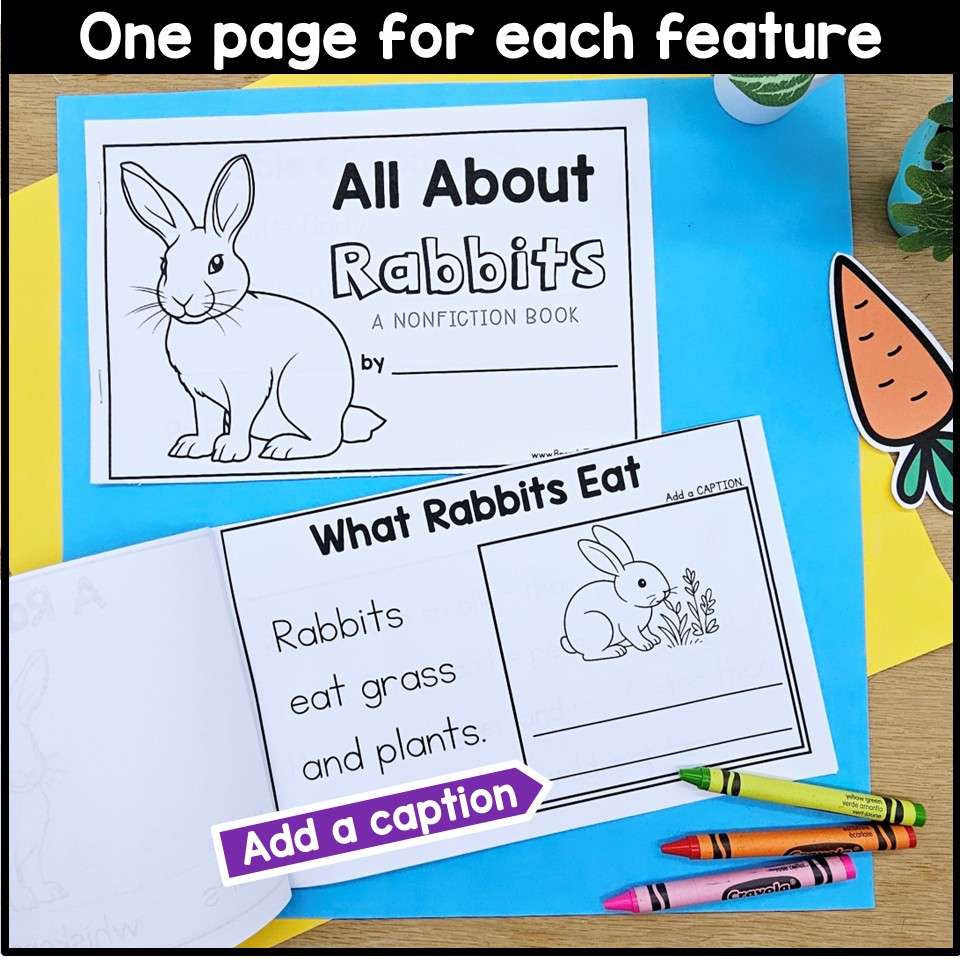 All About Rabbits Spring Read Aloud Activities Comprehension Writing Information - Image 9