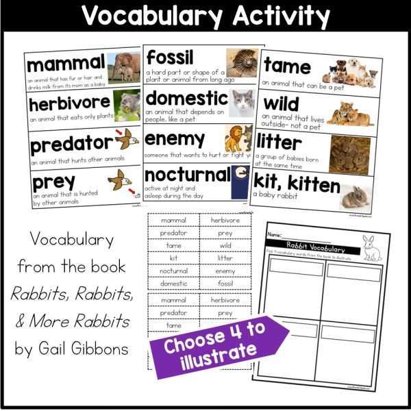 All About Rabbits Spring Read Aloud Activities Comprehension Writing Information