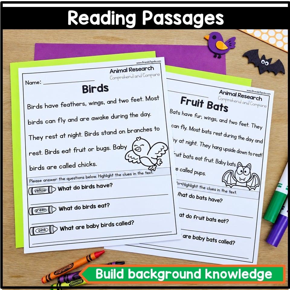 Stellaluna Halloween Bat October Read Aloud and Activity Craft 1st Grade Fall