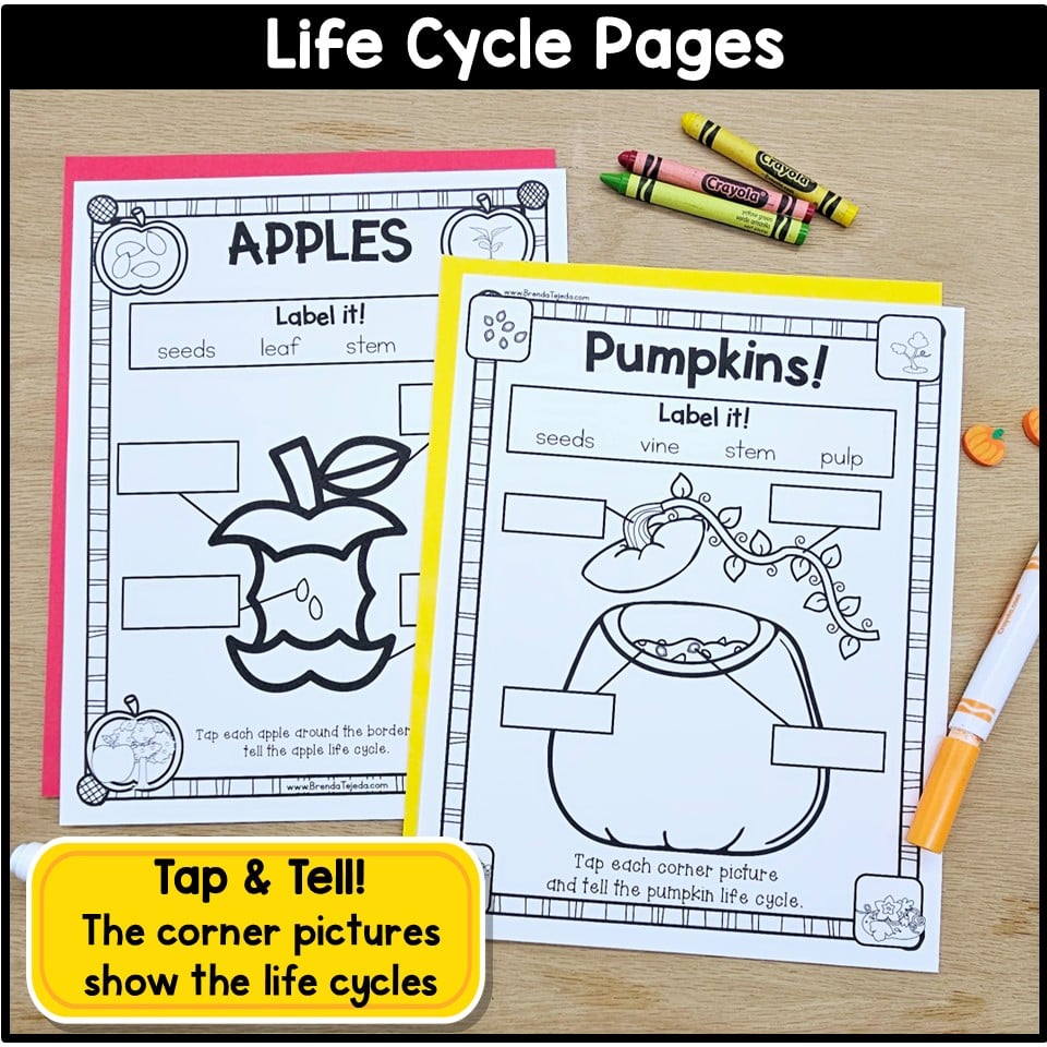 Apples and Pumpkins Craft Fall Read Aloud Activities Name Craft Compare Contrast